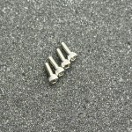 BATTERY COMPARTMENT SCREW